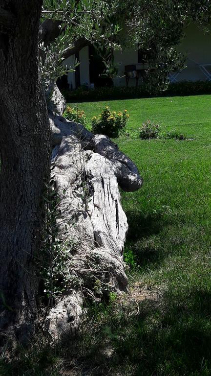 Tenuta Cavalieri Leverano Kültér fotó